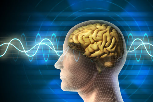 Neurofeedback - Straubing, Deggendorf, Passau, Cham, Weiden, Furth